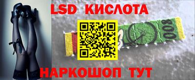 винт Донецк